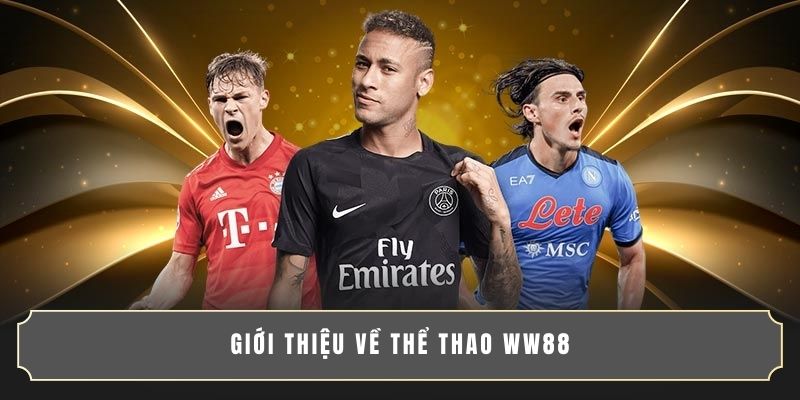 Giới thiệu về thể thao WW88 Giới thiệu về thể thao WW88