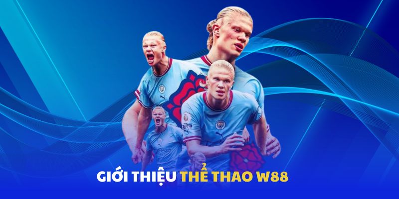Thể thao sôi động WW88 Thể thao sôi động WW88